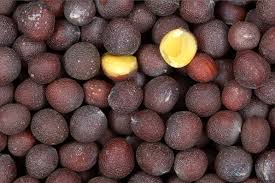 Manufacturers Exporters and Wholesale Suppliers of Black Mustard Jodhpur Rajasthan